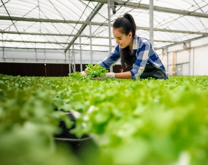 Zelda people zorgt voor kasmedewerkers